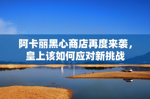 阿卡丽黑心商店再度来袭，皇上该如何应对新挑战