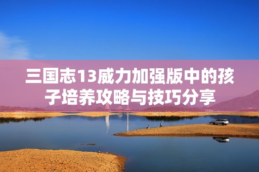 三国志13威力加强版中的孩子培养攻略与技巧分享