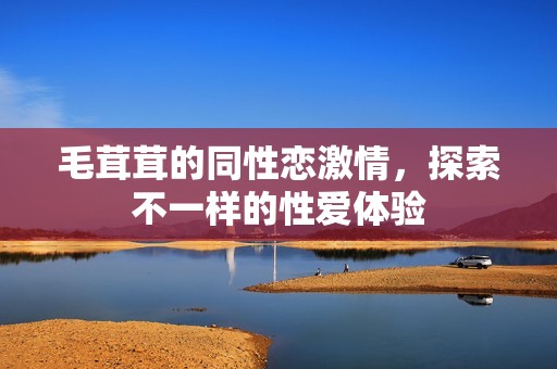 毛茸茸的同性恋激情，探索不一样的性爱体验