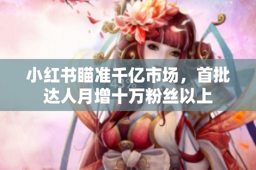 小红书瞄准千亿市场，首批达人月增十万粉丝以上