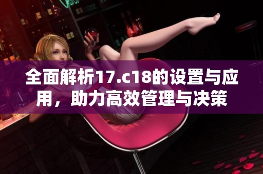 全面解析17.c18的设置与应用，助力高效管理与决策