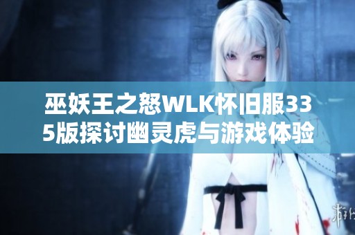 巫妖王之怒WLK怀旧服335版探讨幽灵虎与游戏体验的关系