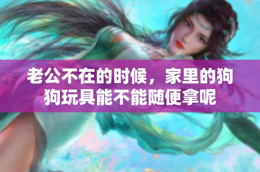 老公不在的时候，家里的狗狗玩具能不能随便拿呢