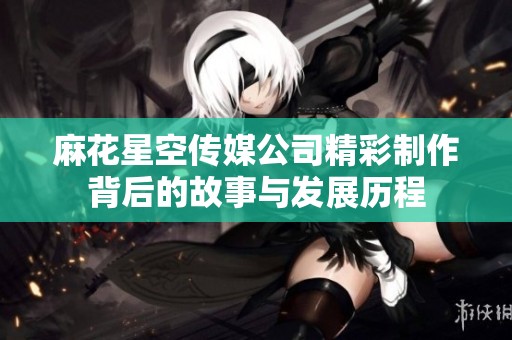 麻花星空传媒公司精彩制作背后的故事与发展历程