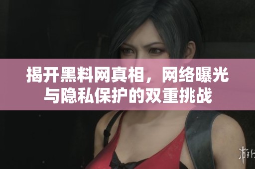揭开黑料网真相，网络曝光与隐私保护的双重挑战