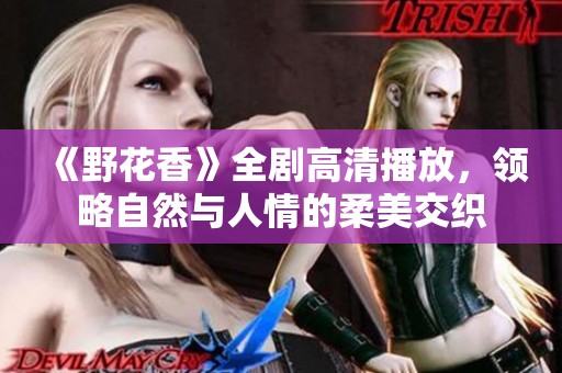《野花香》全剧高清播放，领略自然与人情的柔美交织