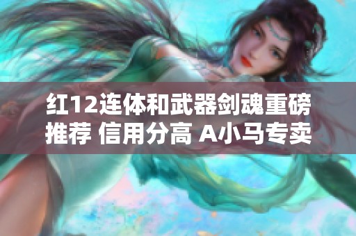 红12连体和武器剑魂重磅推荐 信用分高 A小马专卖不可错过