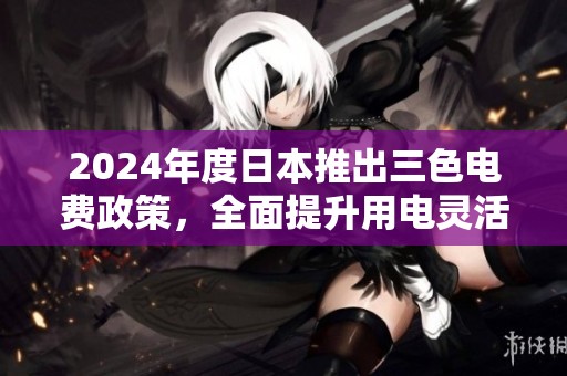 2024年度日本推出三色电费政策，全面提升用电灵活性