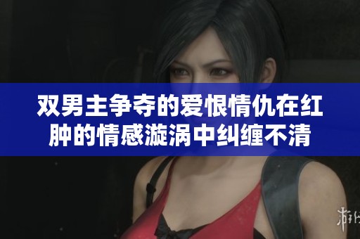 双男主争夺的爱恨情仇在红肿的情感漩涡中纠缠不清