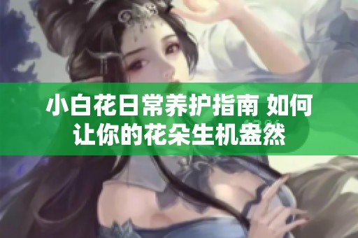 小白花日常养护指南 如何让你的花朵生机盎然