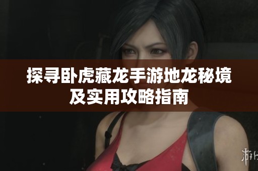 探寻卧虎藏龙手游地龙秘境及实用攻略指南