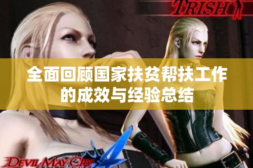 全面回顾国家扶贫帮扶工作的成效与经验总结