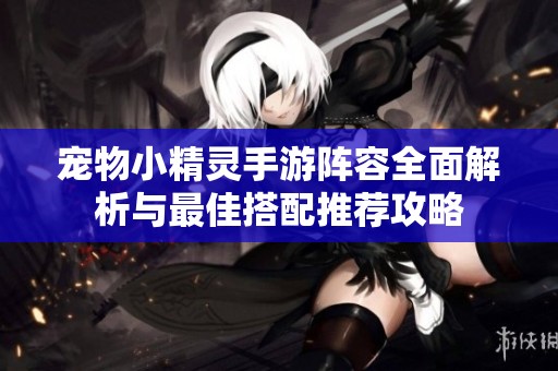 宠物小精灵手游阵容全面解析与最佳搭配推荐攻略