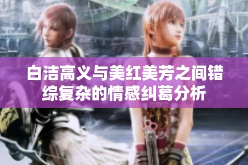 白洁高义与美红美芳之间错综复杂的情感纠葛分析