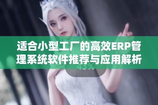 适合小型工厂的高效ERP管理系统软件推荐与应用解析