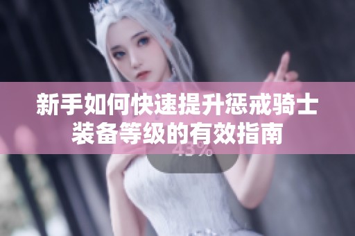 新手如何快速提升惩戒骑士装备等级的有效指南