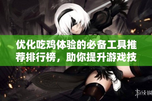 优化吃鸡体验的必备工具推荐排行榜，助你提升游戏技巧