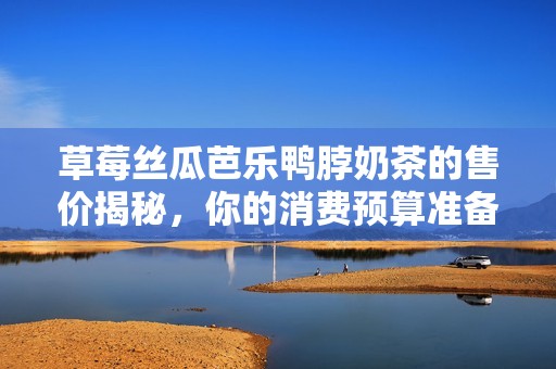 草莓丝瓜芭乐鸭脖奶茶的售价揭秘，你的消费预算准备好了吗