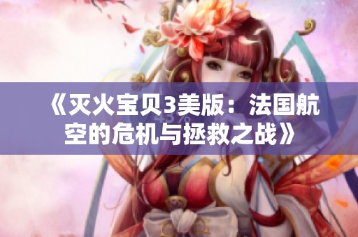 《灭火宝贝3美版：法国航空的危机与拯救之战》