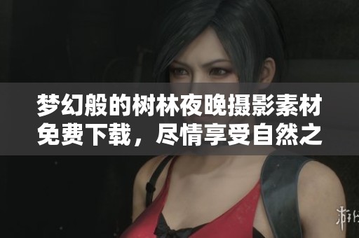 梦幻般的树林夜晚摄影素材免费下载，尽情享受自然之美