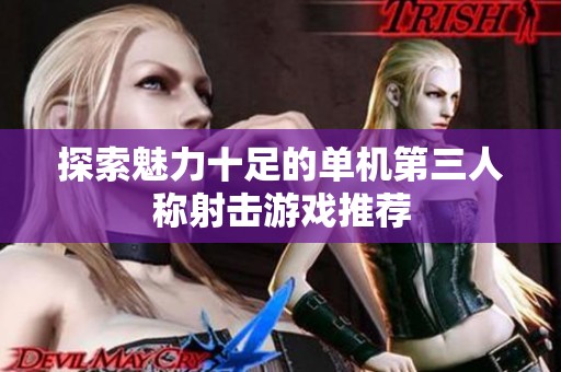 探索魅力十足的单机第三人称射击游戏推荐