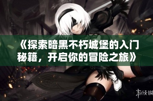 《探索暗黑不朽城堡的入门秘籍，开启你的冒险之旅》