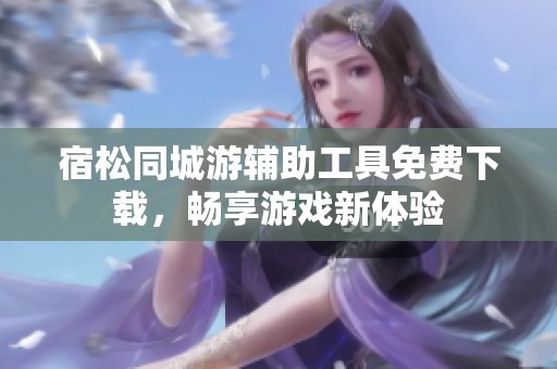 宿松同城游辅助工具免费下载，畅享游戏新体验