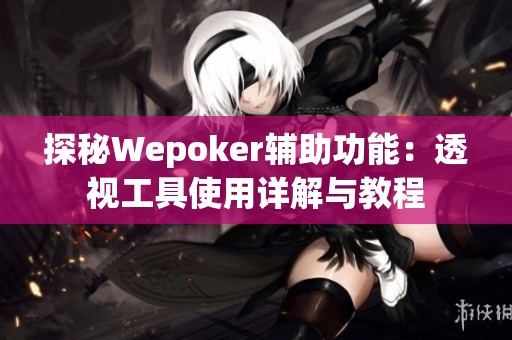探秘Wepoker辅助功能：透视工具使用详解与教程