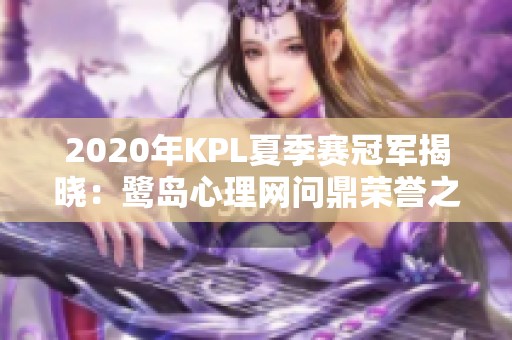 2020年KPL夏季赛冠军揭晓：鹭岛心理网问鼎荣誉之巅