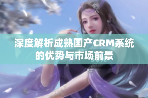 深度解析成熟国产CRM系统的优势与市场前景