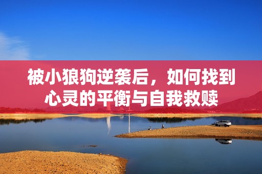 被小狼狗逆袭后，如何找到心灵的平衡与自我救赎