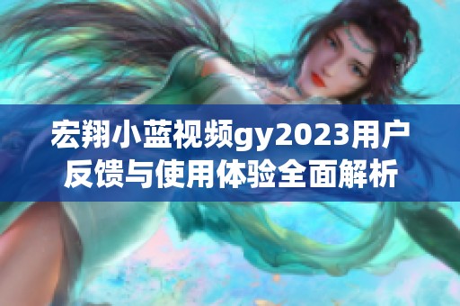 宏翔小蓝视频gy2023用户反馈与使用体验全面解析