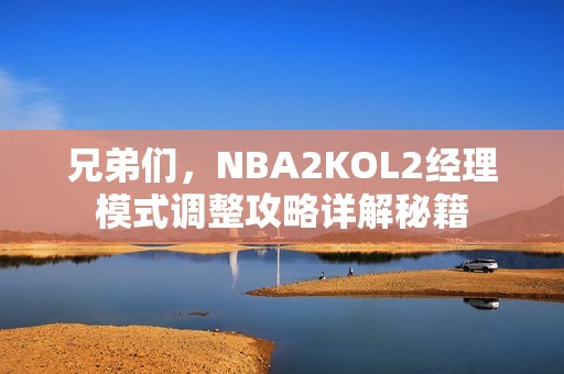 兄弟们，NBA2KOL2经理模式调整攻略详解秘籍