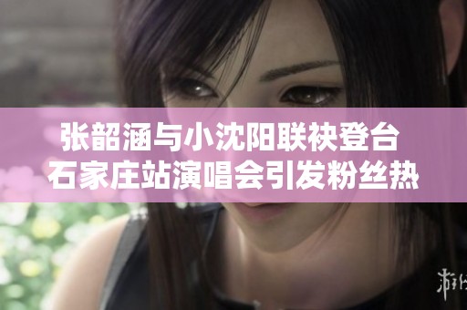 张韶涵与小沈阳联袂登台 石家庄站演唱会引发粉丝热潮