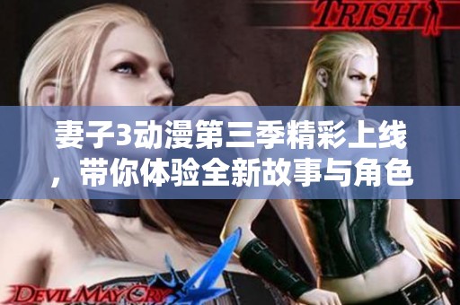 妻子3动漫第三季精彩上线，带你体验全新故事与角色魅力