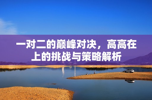 一对二的巅峰对决，高高在上的挑战与策略解析