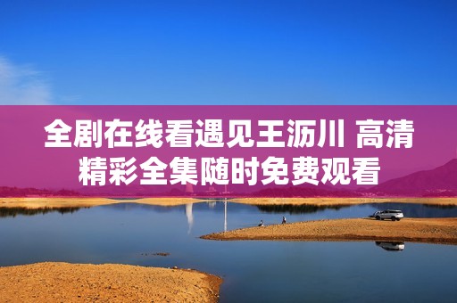 全剧在线看遇见王沥川 高清精彩全集随时免费观看