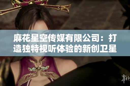 麻花星空传媒有限公司：打造独特视听体验的新创卫星