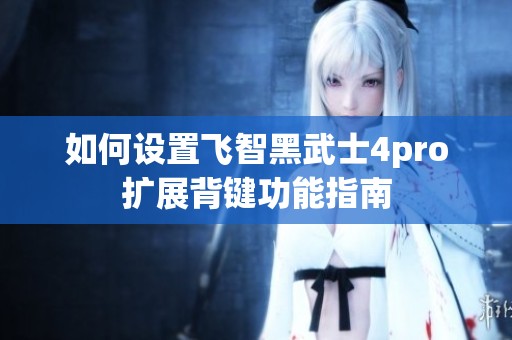 如何设置飞智黑武士4pro扩展背键功能指南