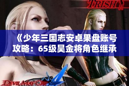 《少年三国志安卓果盘账号攻略：65级昊金将角色继承解析》