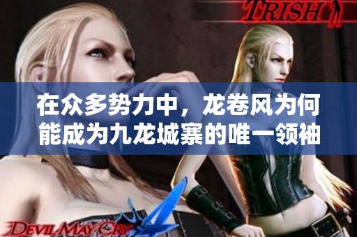 在众多势力中，龙卷风为何能成为九龙城寨的唯一领袖
