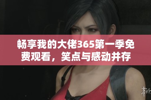 畅享我的大佬365第一季免费观看，笑点与感动并存