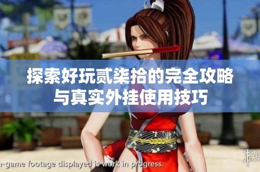 探索好玩贰柒拾的完全攻略与真实外挂使用技巧