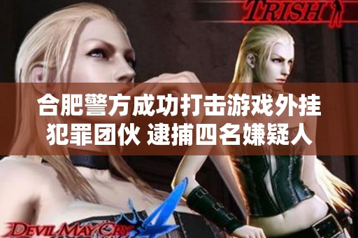 合肥警方成功打击游戏外挂犯罪团伙 逮捕四名嫌疑人