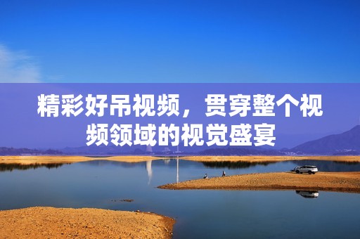 精彩好吊视频，贯穿整个视频领域的视觉盛宴