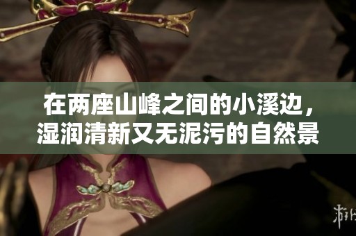 在两座山峰之间的小溪边，湿润清新又无泥污的自然景观