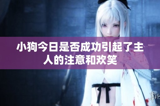 小狗今日是否成功引起了主人的注意和欢笑