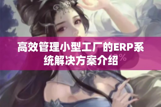 高效管理小型工厂的ERP系统解决方案介绍