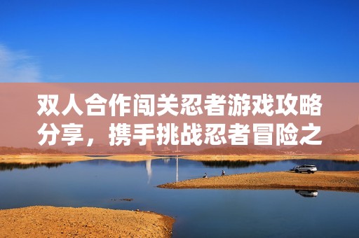 双人合作闯关忍者游戏攻略分享，携手挑战忍者冒险之旅
