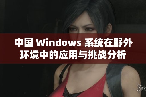中国 Windows 系统在野外环境中的应用与挑战分析